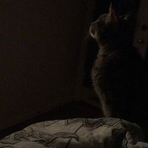 Meet your Posher, Kaitlin